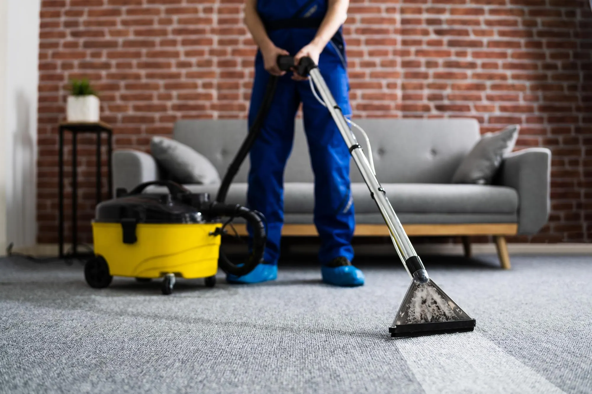 Technician deep cleaning a carpet with a professional extraction machine and wand