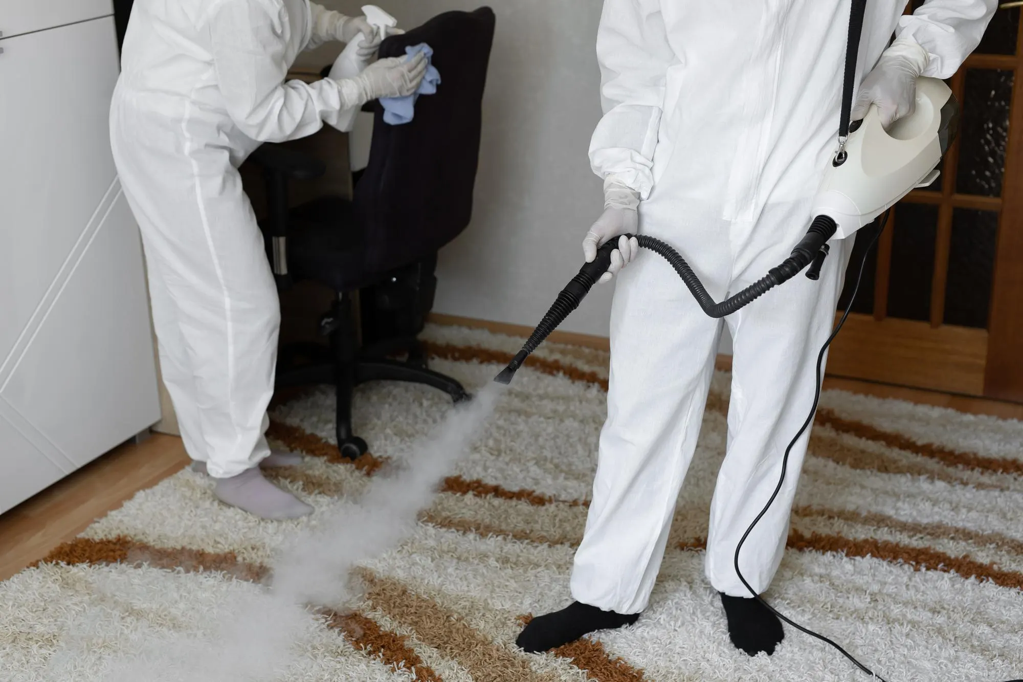 Two technicians steam cleaning a patterned carpet in a home office