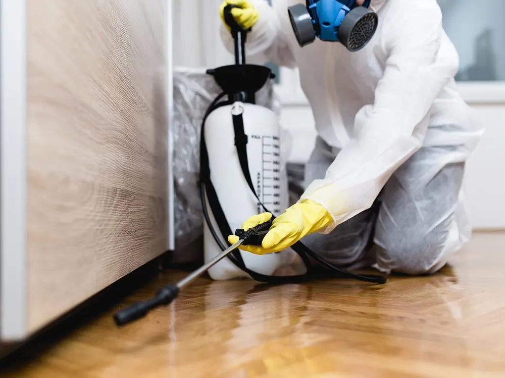 Empire Pest Control technician treating the edge of a floor in Greenville, NC
