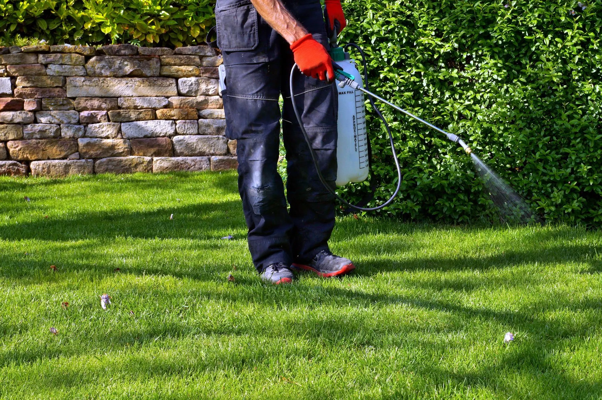 Technician treating a shaded yard area where pets rest