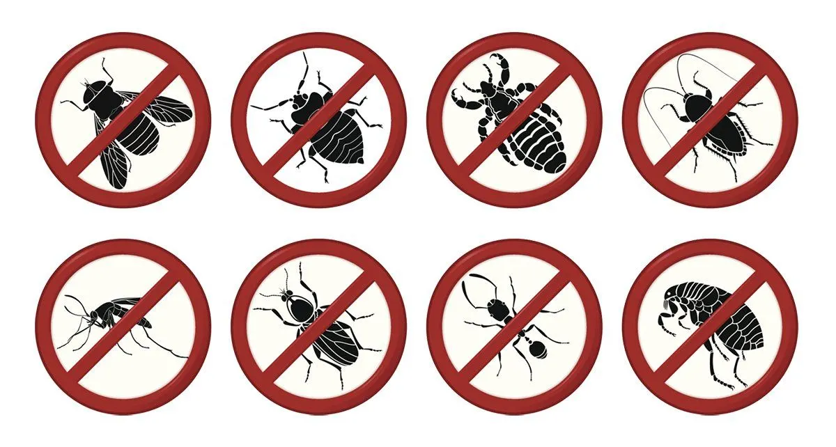 The household pests Empire Pest Control treats for Elm City, NC customers