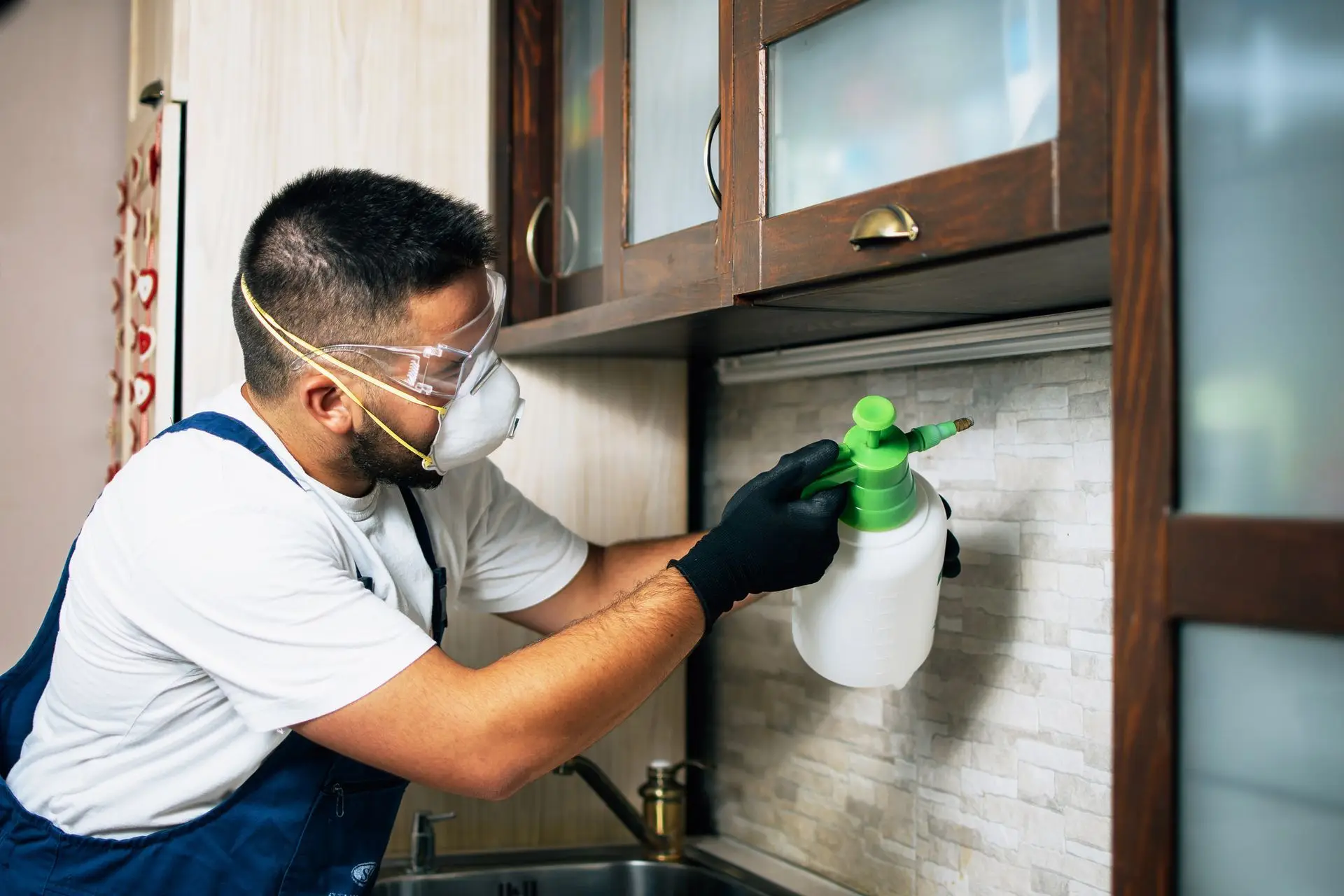 Empire Pest Control technician treating kitchen cabinets in a Wilson, NC home