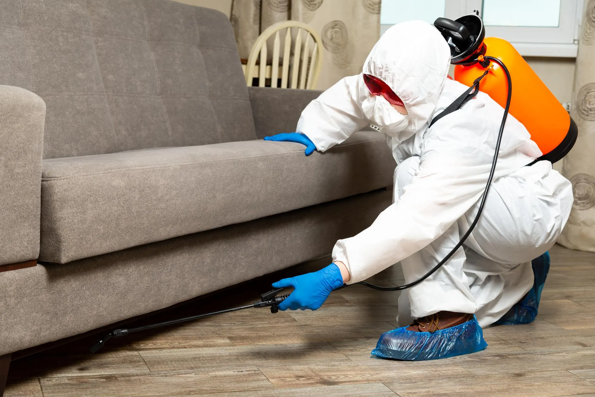 Technician treating beneath a sofa with a pressure sprayer