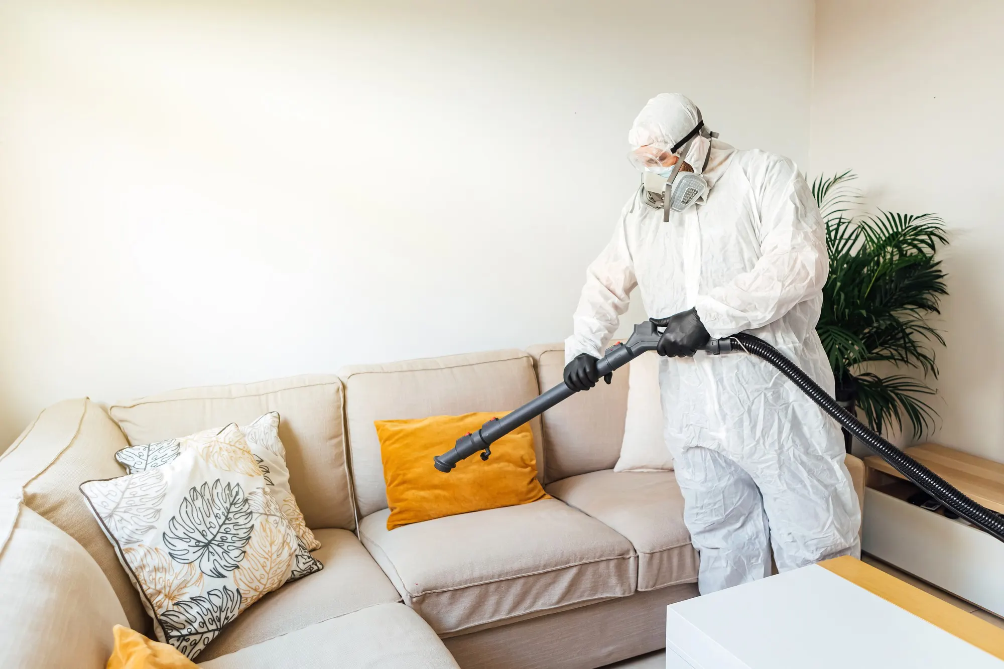 Technician using an extraction wand and hose to deep clean a fabric sofa